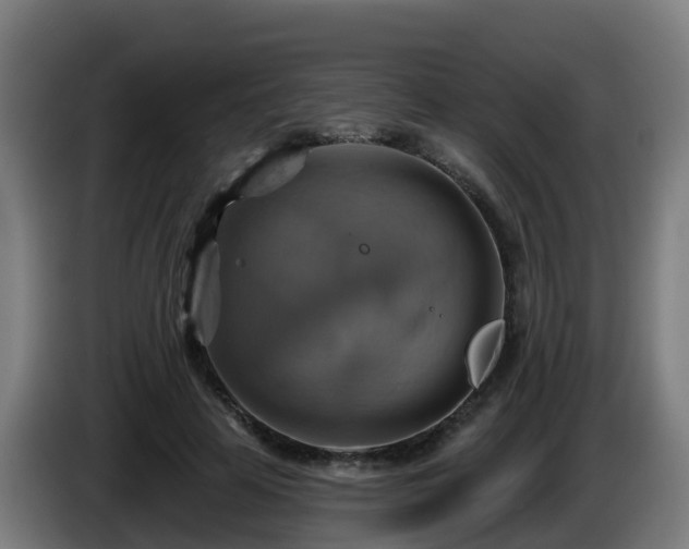 X0000086020641200703301033