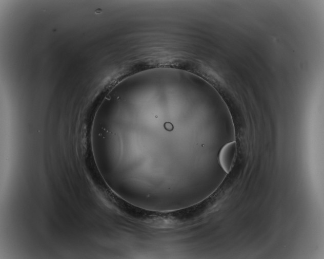 X0000086020642200703301033
