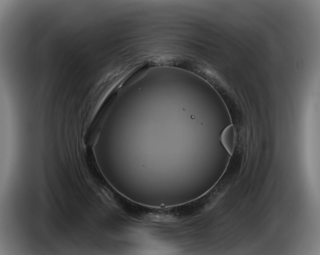 X0000086020644200703301033