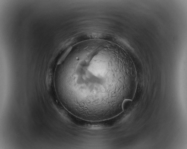 X0000086020645200703301033