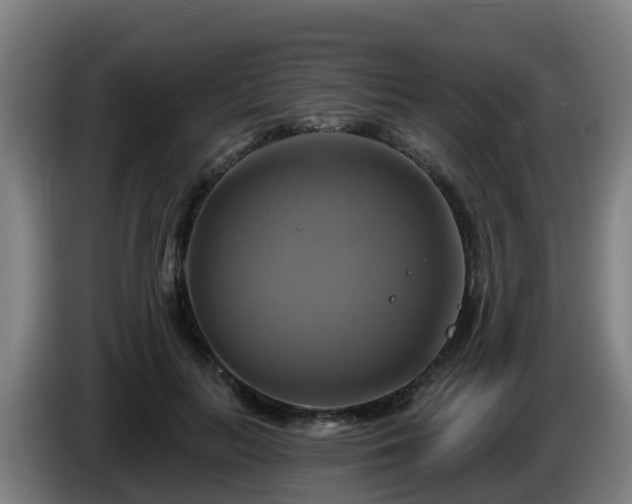 X0000086020647200703301033