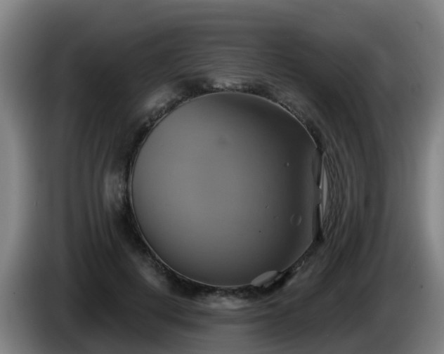 X0000086020648200703301033