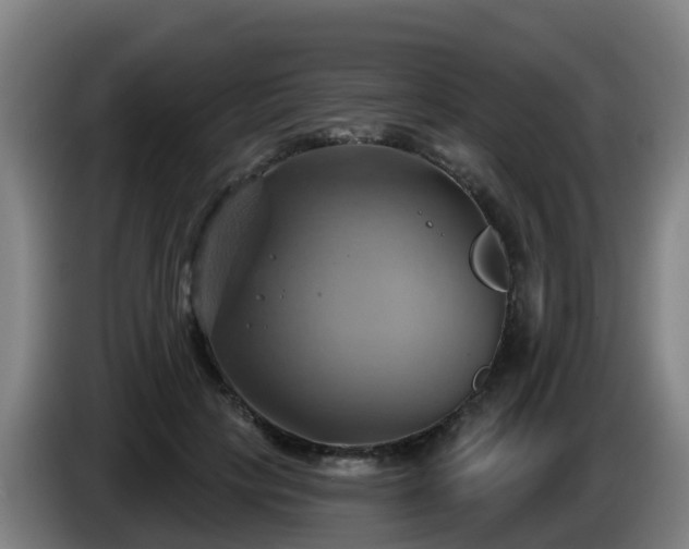 X0000086020649200703301033