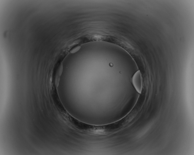 X0000086020651200703301033