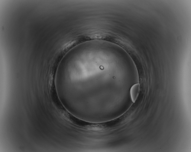 X0000086020652200703301033