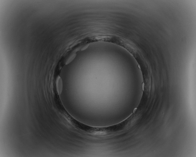 X0000086020653200703301033
