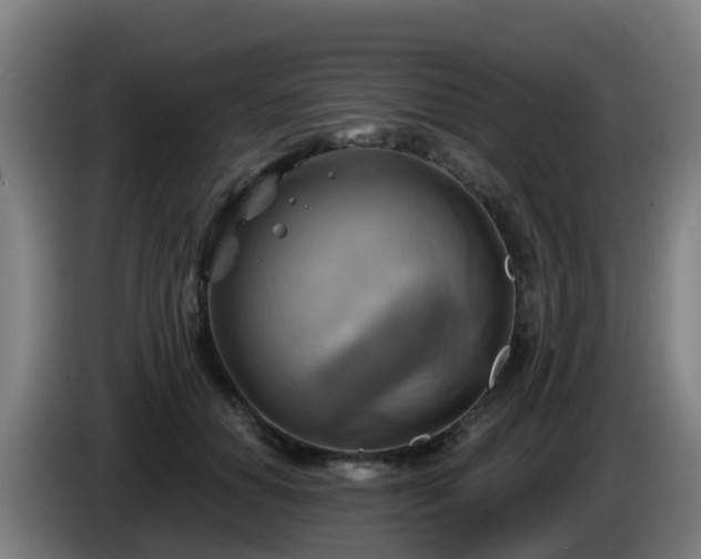 X0000086020654200703301033