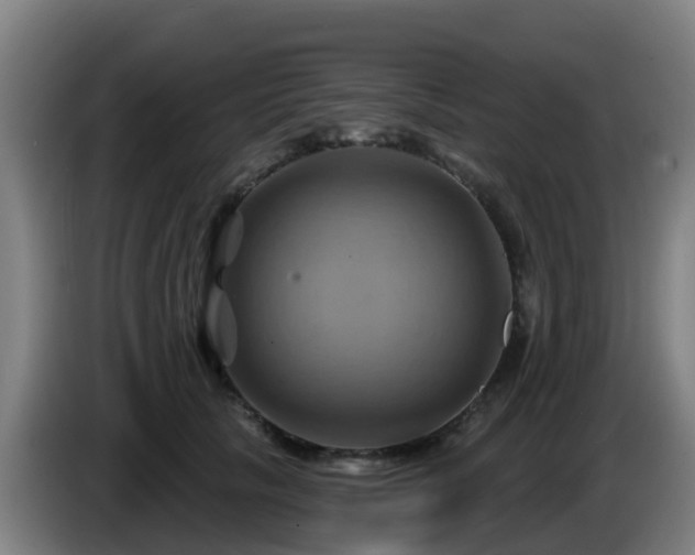 X0000086020657200703301033