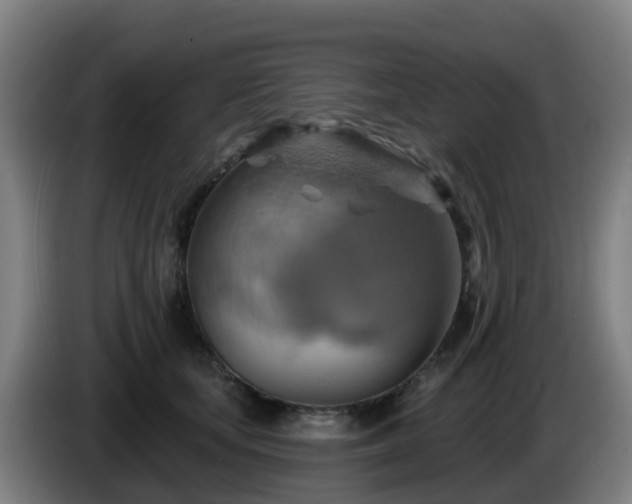 X0000086020659200703301033