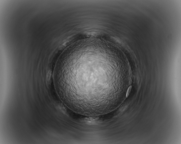 X0000086020660200703301033