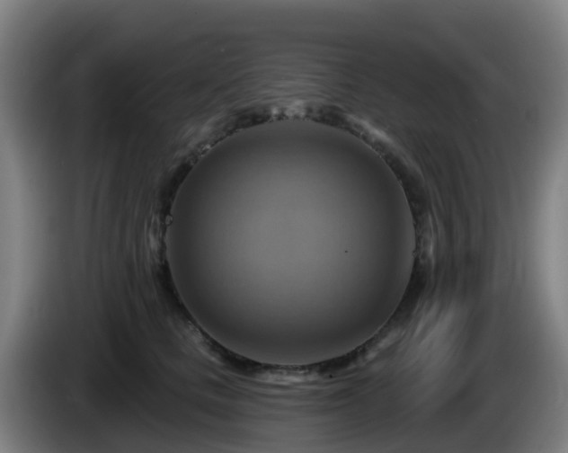X0000086020661200703301033