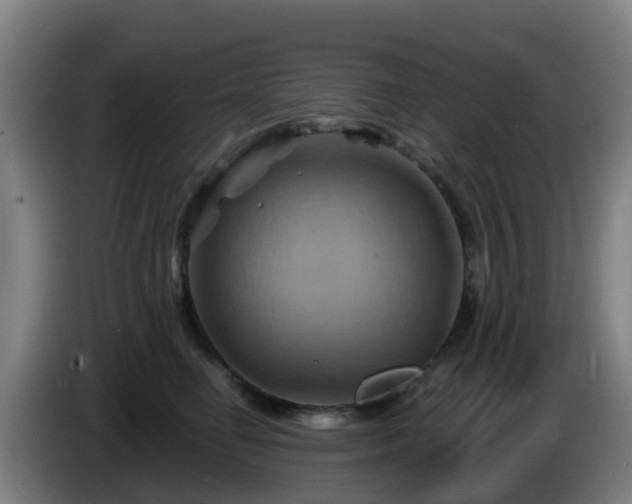X0000086020662200703301033