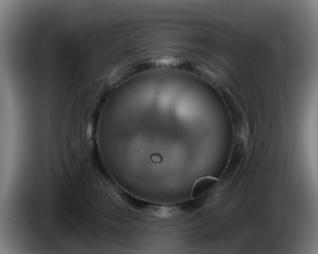 X0000086020663200703301033