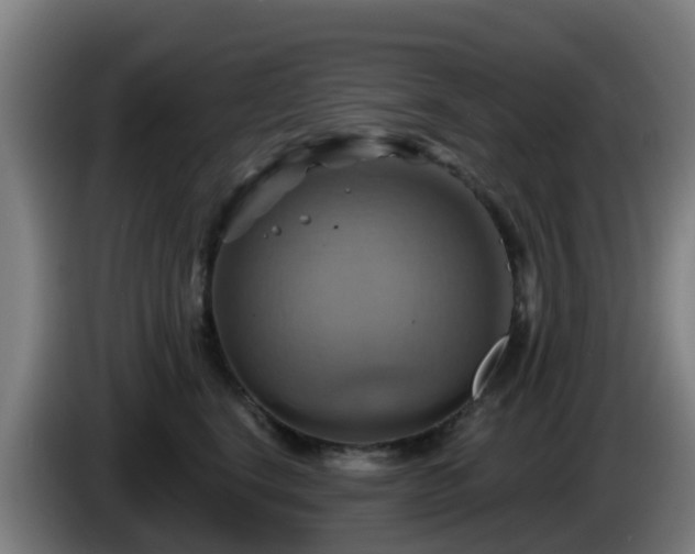 X0000086020664200703301033