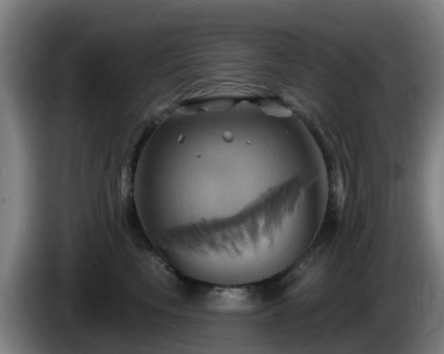 X0000086020665200703301033