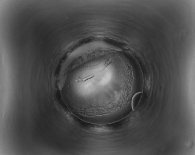 X0000086020666200703301033