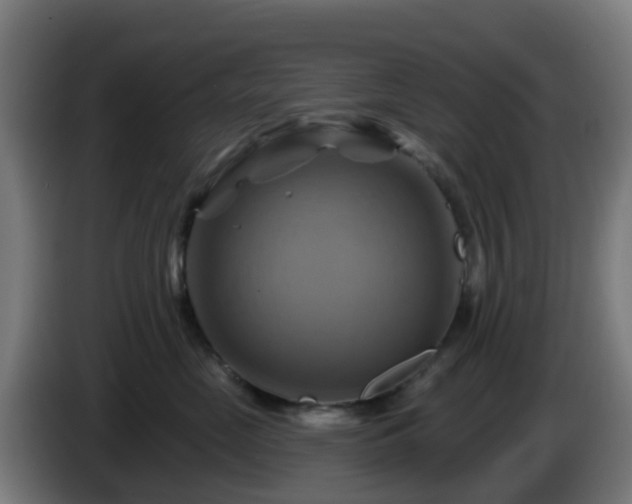 X0000086020669200703301033
