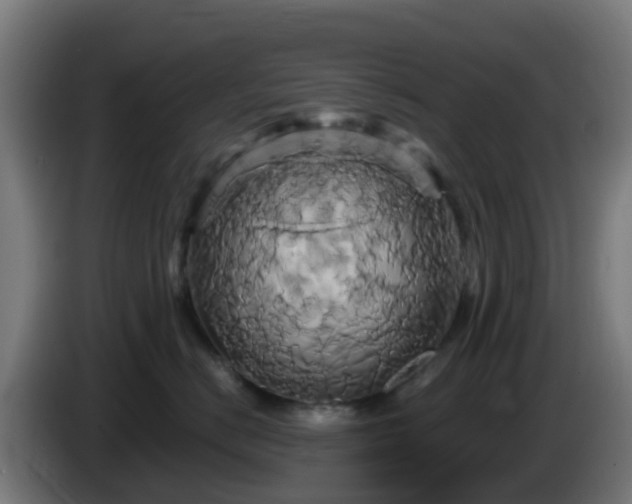 X0000086020670200703301033