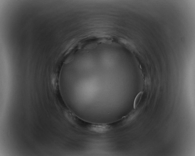 X0000086020671200703301033