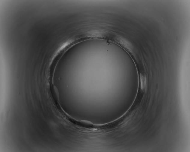 X0000086020675200703301033