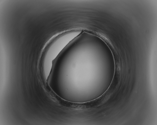 X0000086020676200703301033