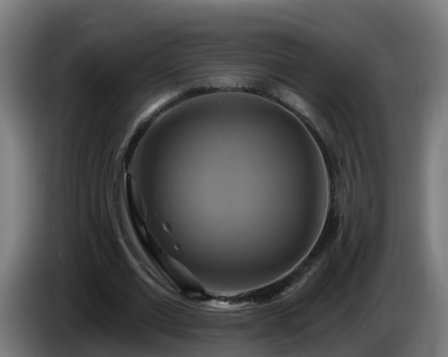 X0000086020677200703301033