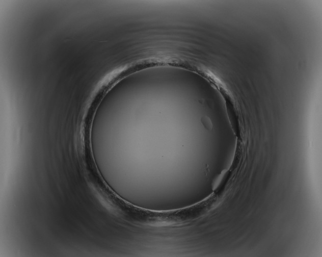 X0000086020678200703301033