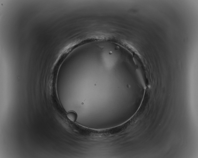 X0000086020679200703301033