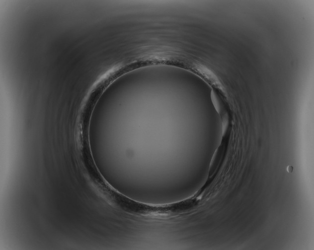 X0000086020680200703301033
