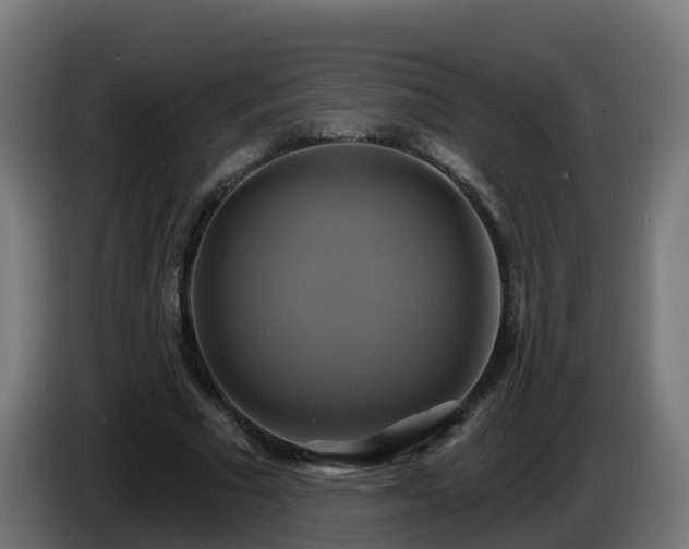 X0000086020681200703301033