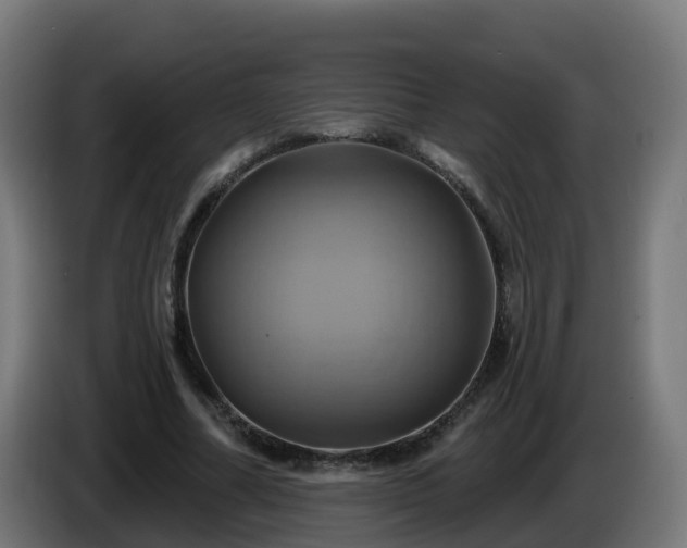 X0000086020682200703301033