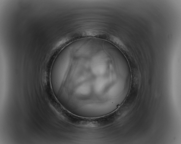 X0000086020683200703301033