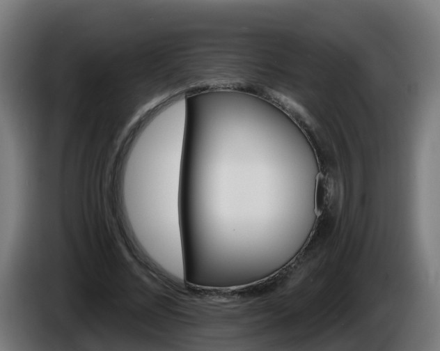 X0000086020684200703301033