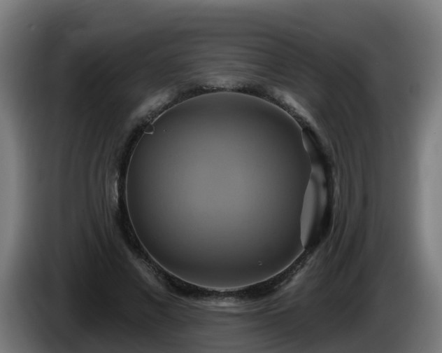 X0000086020685200703301033