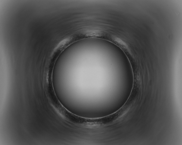 X0000086020686200703301033