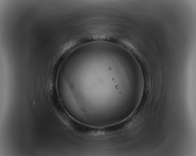 X0000086020687200703301033