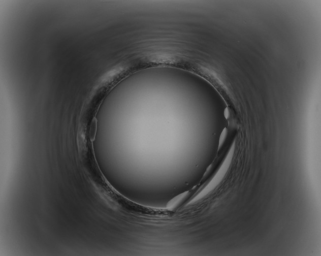 X0000086020688200703301033