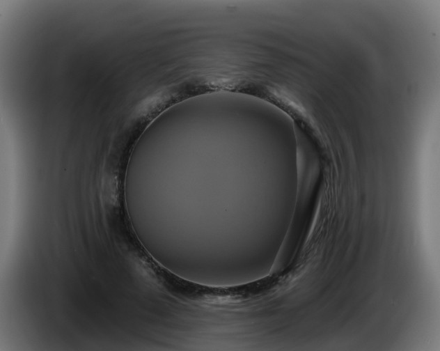 X0000086020689200703301033