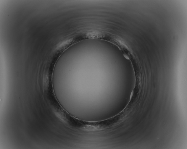 X0000086020690200703301033