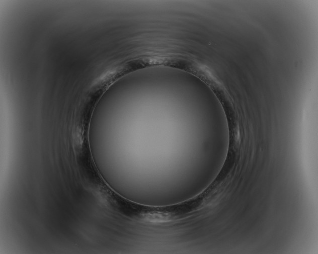 X0000086020691200703301033