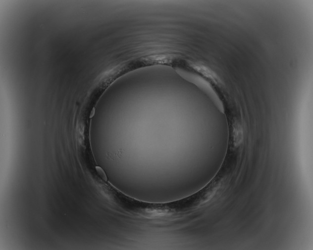 X0000086020693200703301033