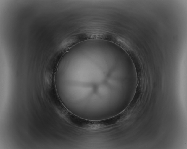 X0000086020695200703301032