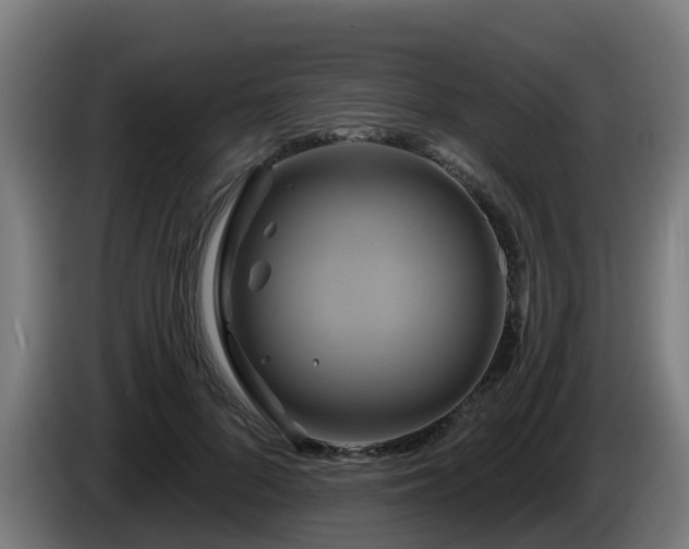 X0000086020696200703301032
