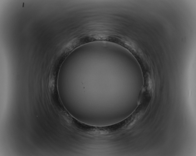 X0000086020697200703301032