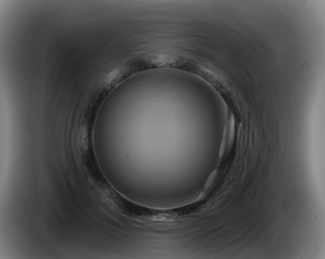 X0000086020700200703301032