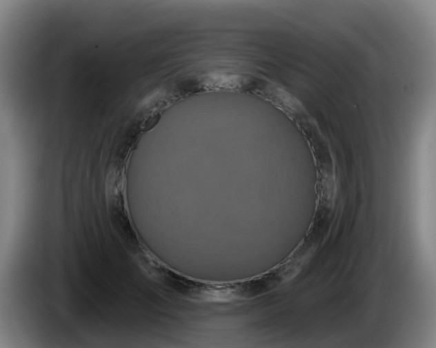 X0000086020701200703301032