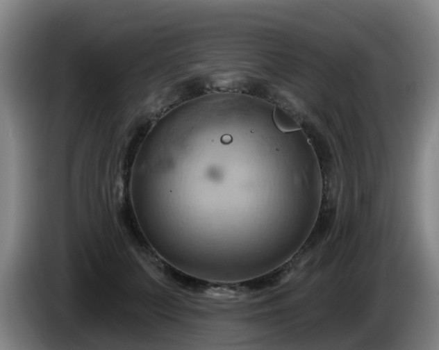 X0000086020703200703301032