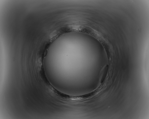 X0000086020707200703301032