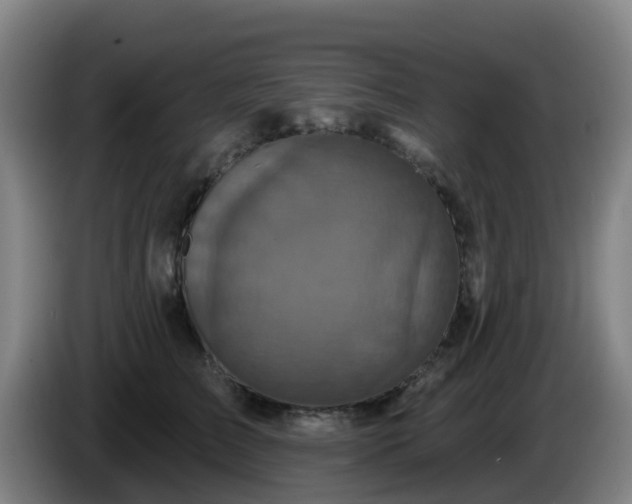 X0000086020709200703301032