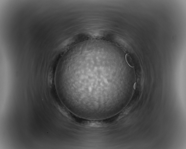 X0000086020710200703301032